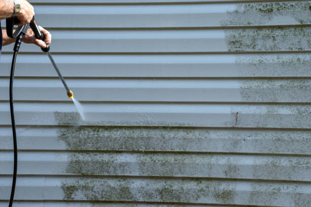 Trusted Bay Hill, FL Siding Services Experts