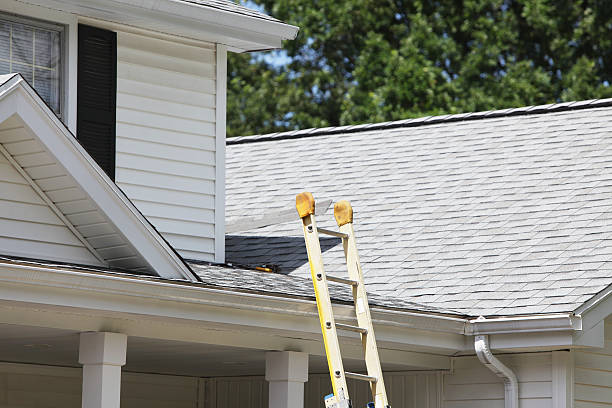 Siding Removal and Disposal in Bay Hill, FL